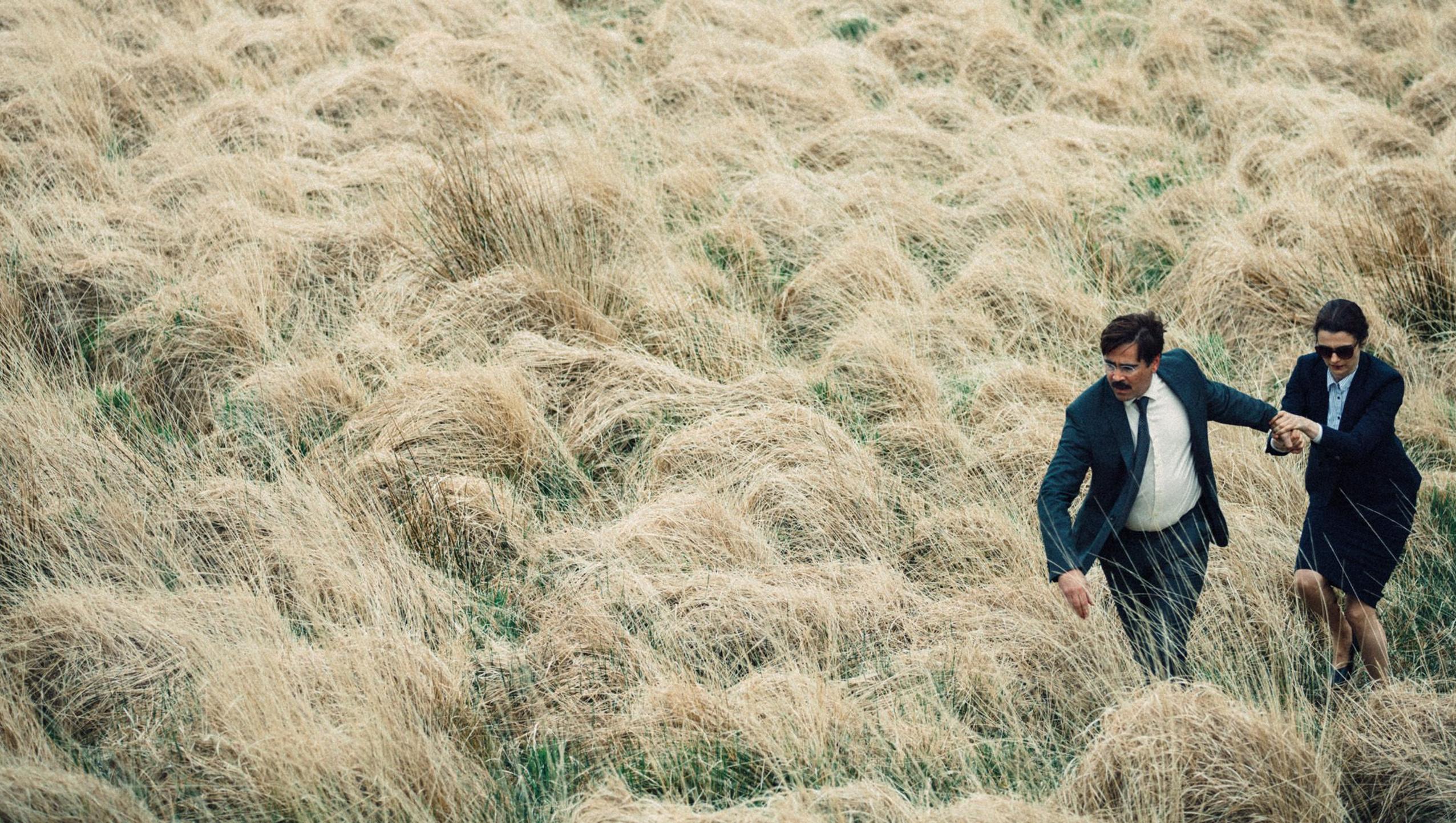 The Lobster Wallpaper