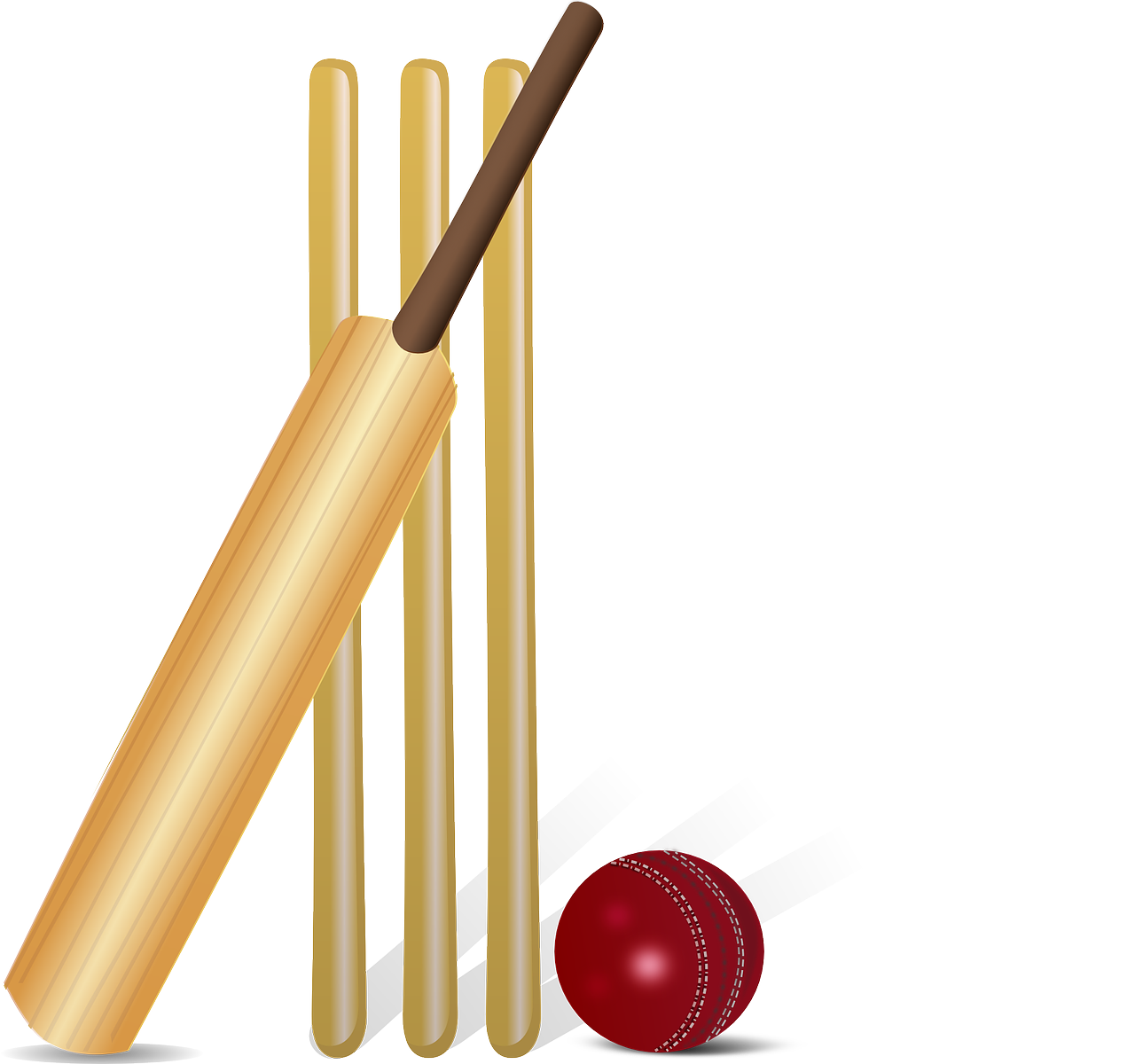 Cricket Bat vector graphic