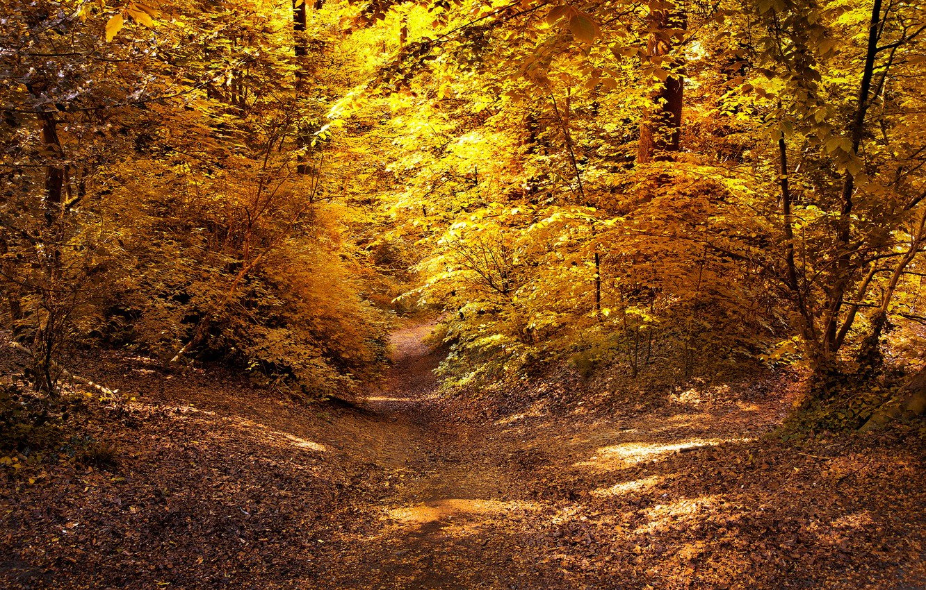 Autumn Paths Wallpapers - Wallpaper Cave