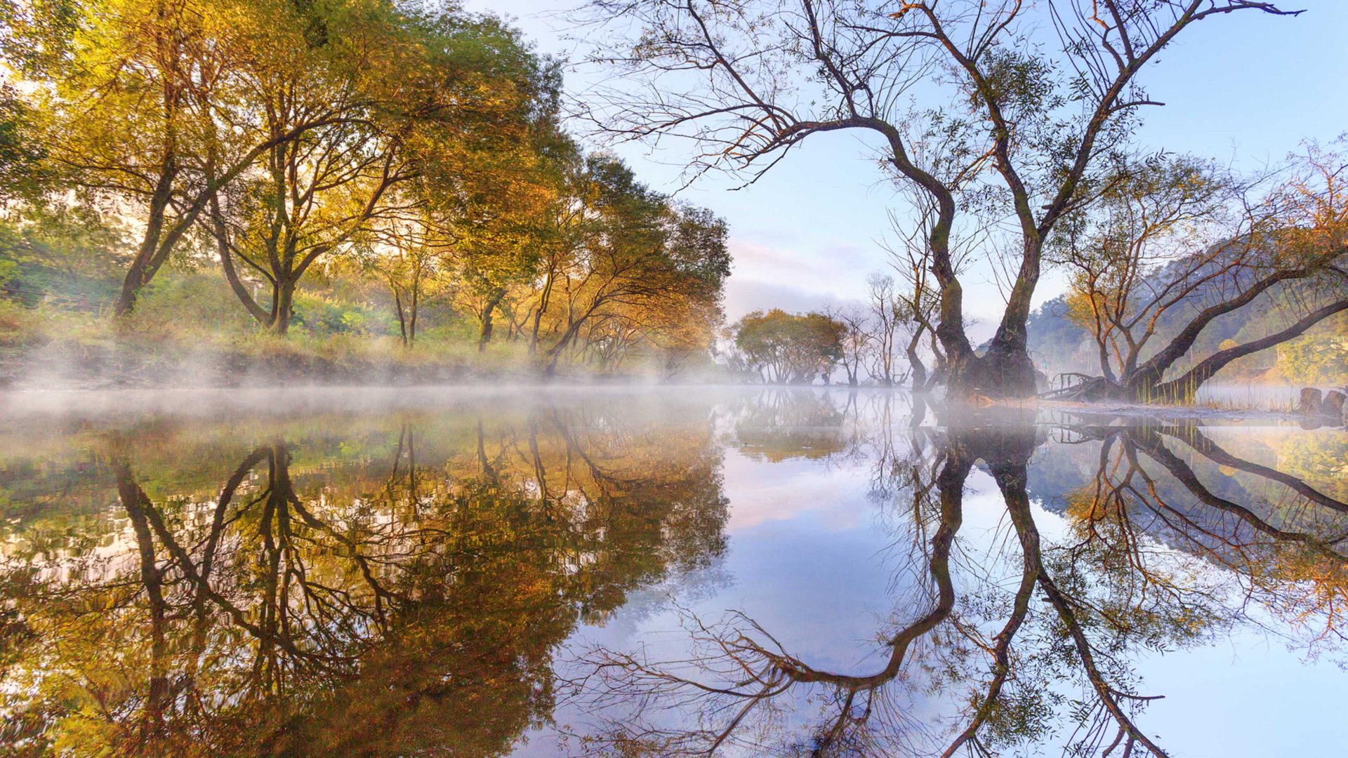 Autumn Morning Lake Evaporation Trees Willow Reflection In Water Landscapes Cheongwon Gun South Korea 4k Ultra HD Desktop Wallpaper For Computers, Wallpaper13.com