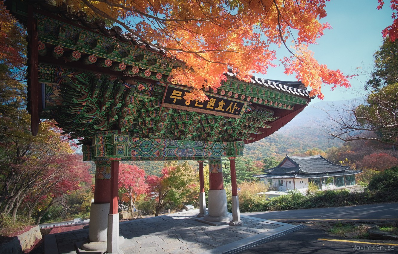 Wallpaper South Korea, autumn Park, sacred gate, Sout Korea image for desktop, section пейзажи