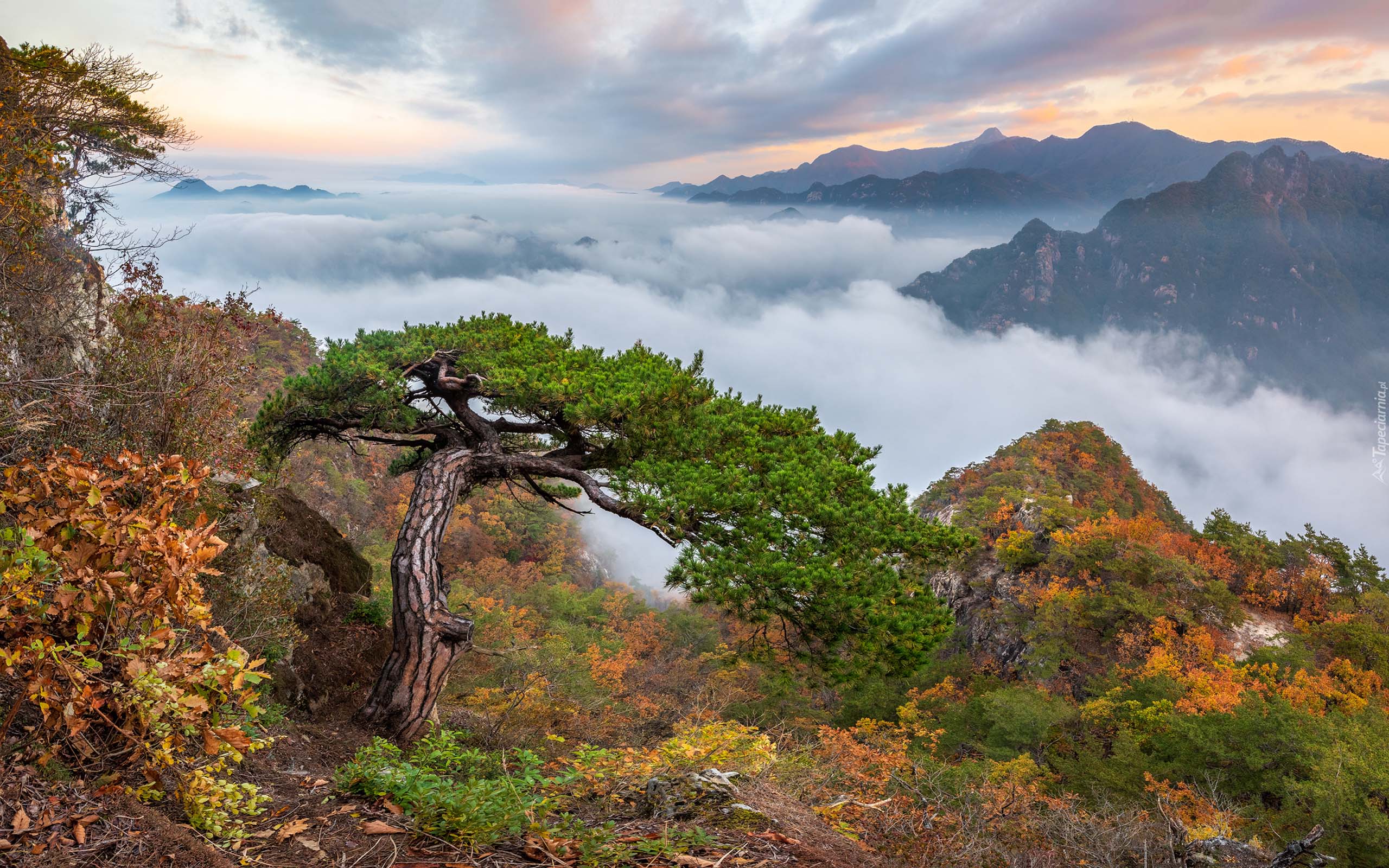 South Korea Landscape Wallpaper, HD South Korea Landscape Background on WallpaperBat