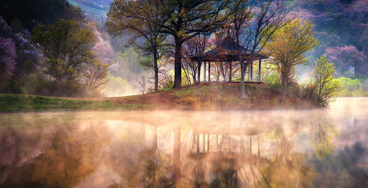 Wallpaper, sunlight, trees, landscape, lake, water, nature, reflection, grass, sunrise, evening, morning, mist, cherry blossom, pond, South Korea, spring, tree, autumn, mountain, flower, season, woodland, rural area, atmospheric phenomenon, 1500x768 px