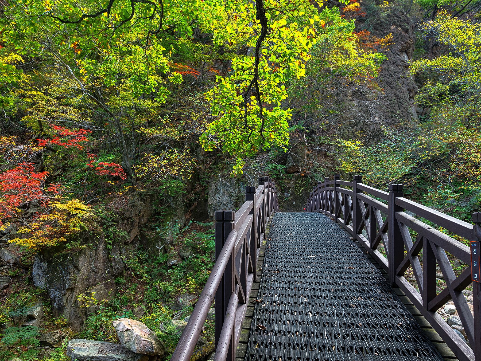 Korea Nature Wallpaper: HD, 4K, 5K for PC and Mobile. Download free image for iPhone, Android