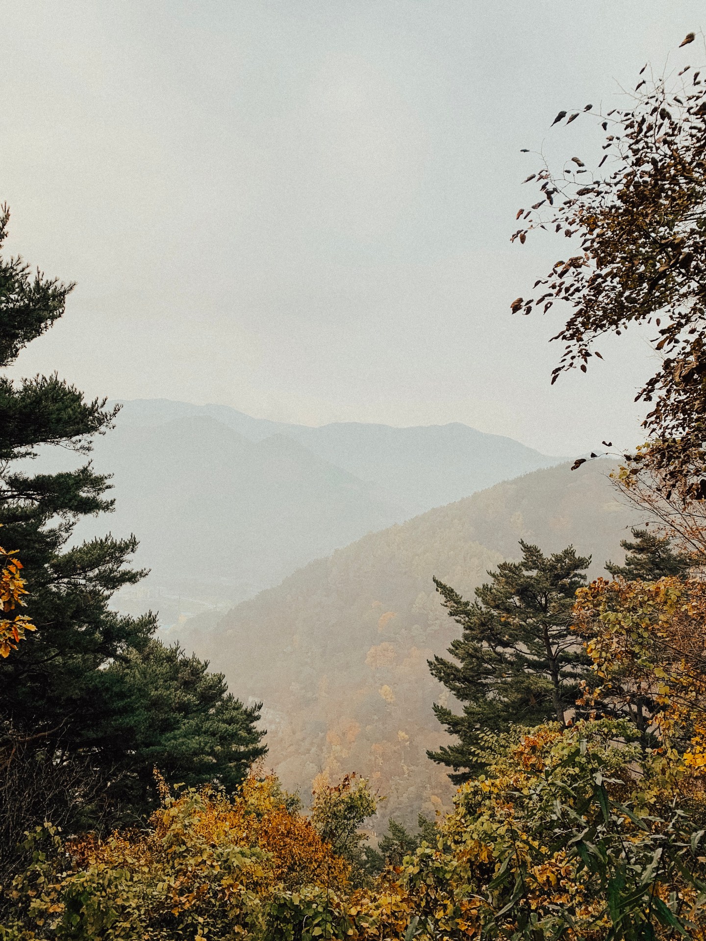 Five Photo That Will Inspire You to Visit South Korea in the Fall