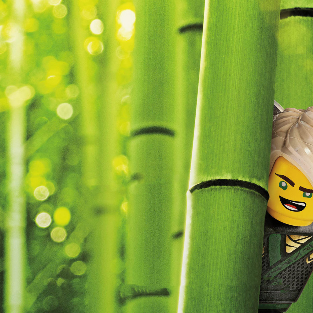 Lloyd The Lego Ninjago Movie