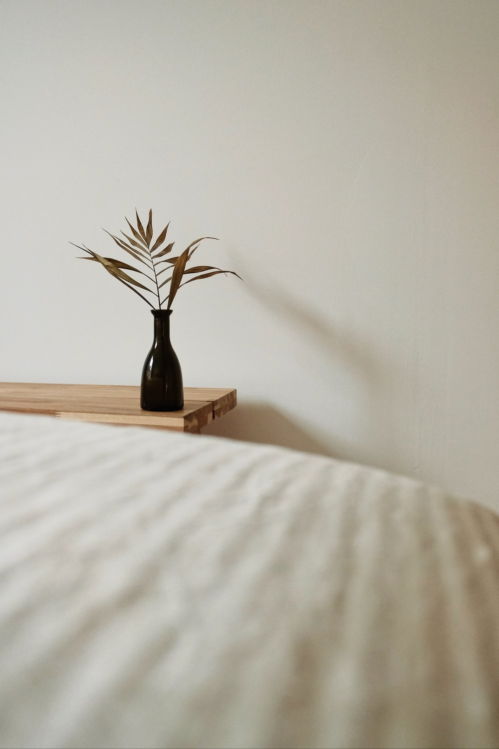 Beige Picture [HD]. Download Free Image
