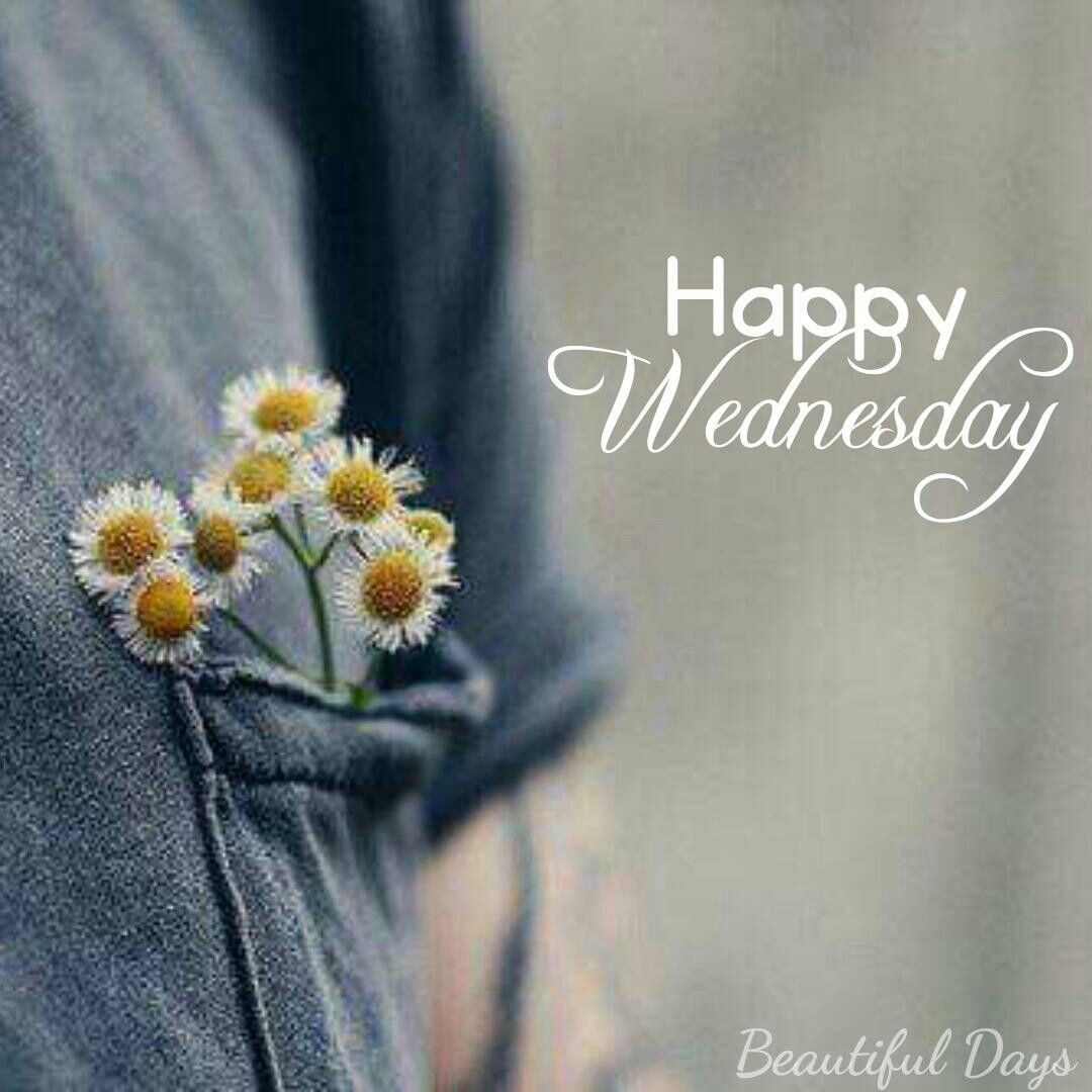 ☘ #Ⱳᴇʟϲoмᴇ. Wednesday quotes, Happy wednesday, Good morning msg
