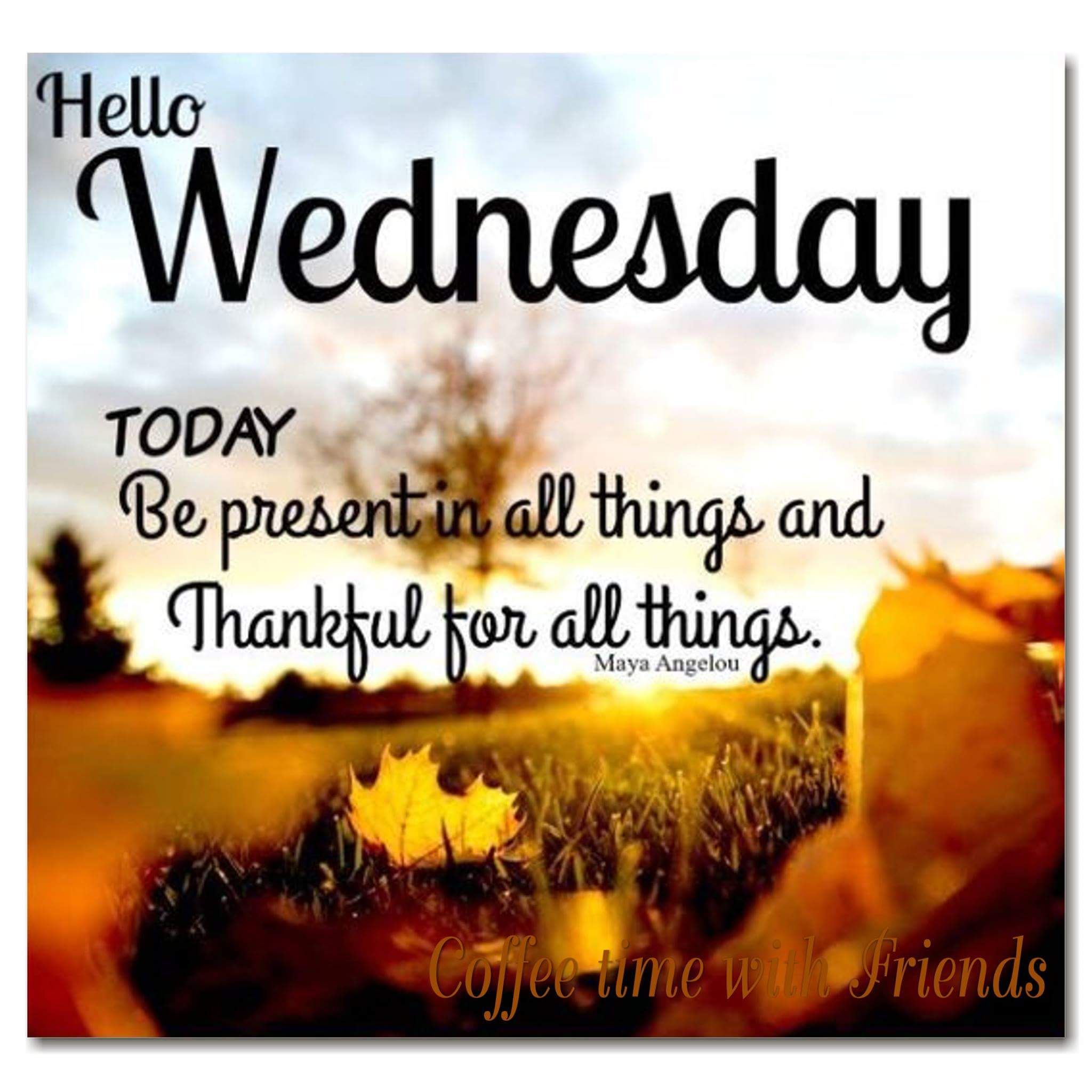 Hello Wednesday Quotes And Image