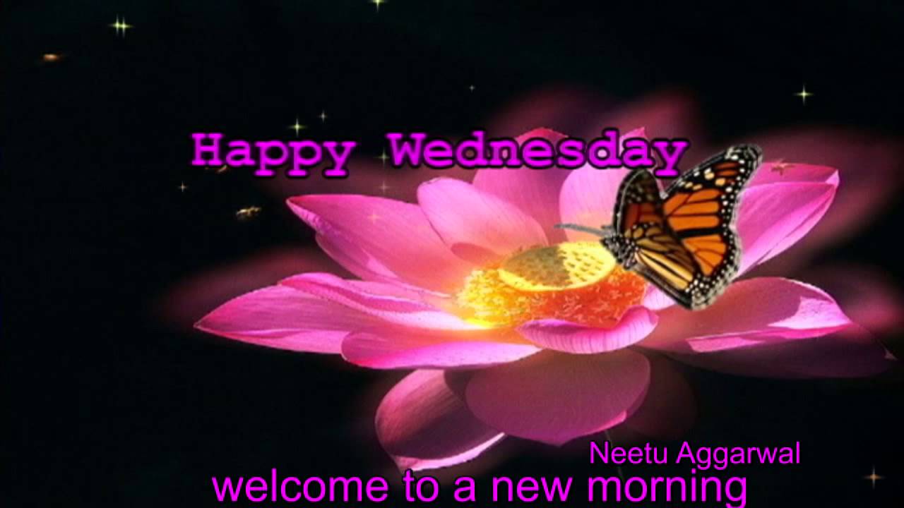 Happy Wednesday Greetings Quotes Blessings Sms Wishes Saying E Card Wallpaper Whatsapp Video