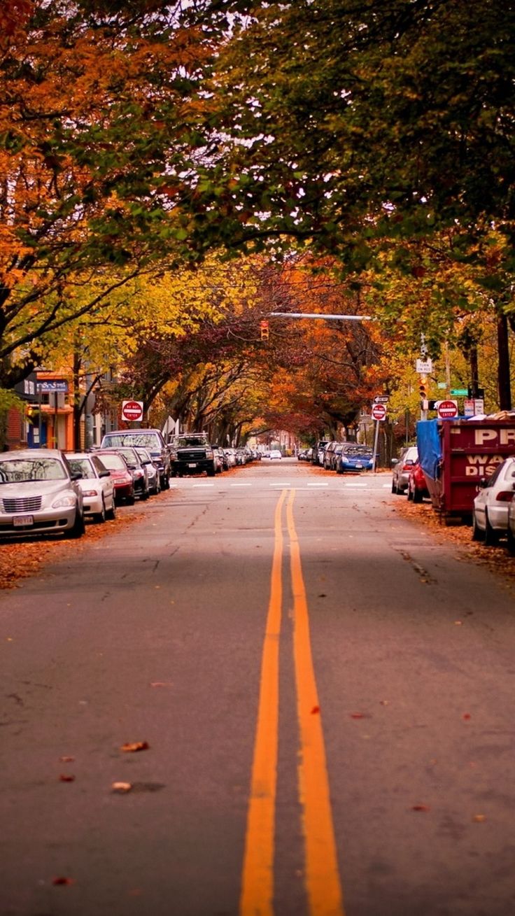 ↑↑TAP AND GET THE FREE APP! Nature City Autumn Trees Road Street Dividing Line Colorful HD iPhone 5 Wallpaper. City wallpaper, Ipod wallpaper, Scenery