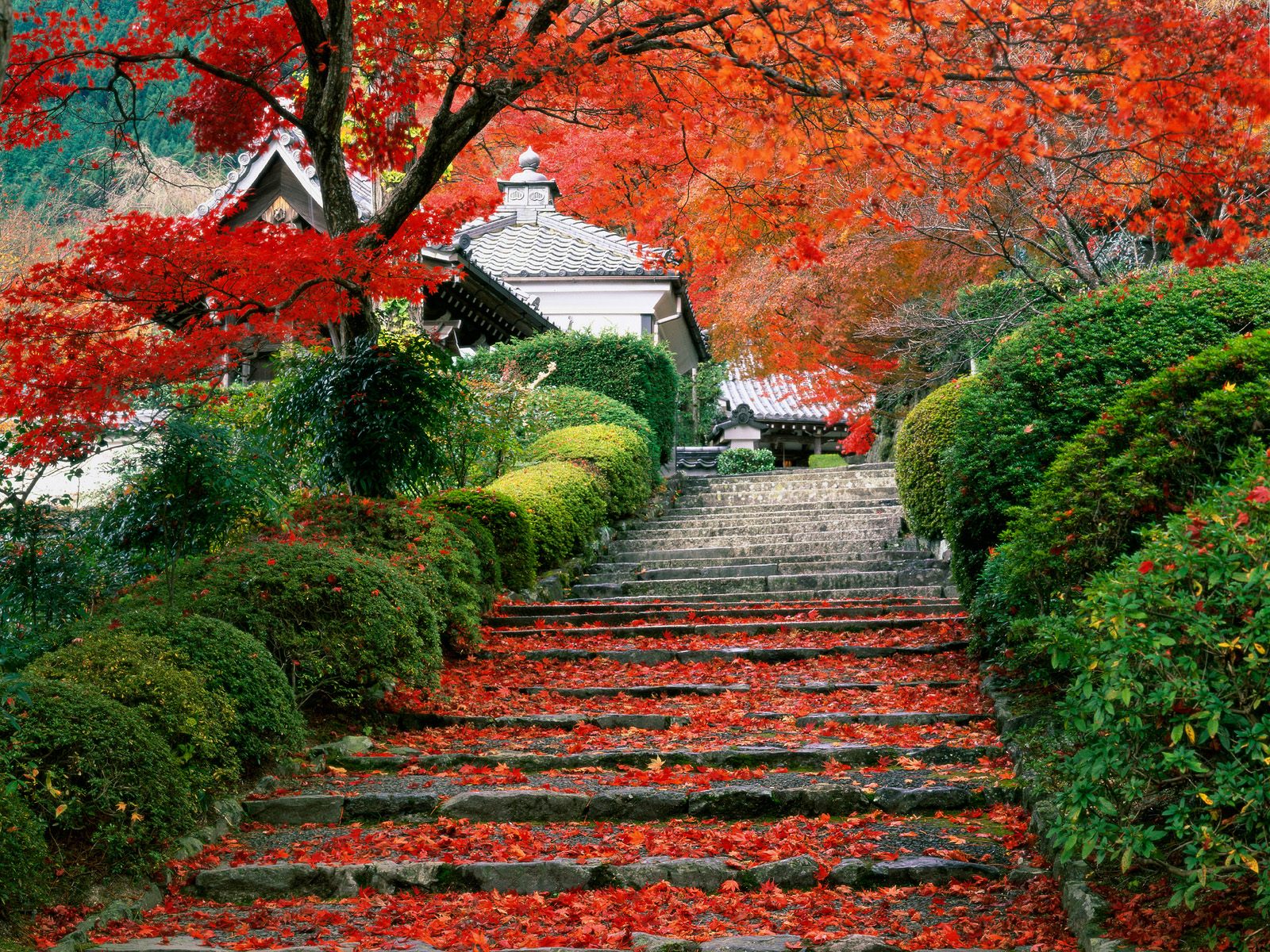 Japanese garden autumn stairs wallpaperx1200