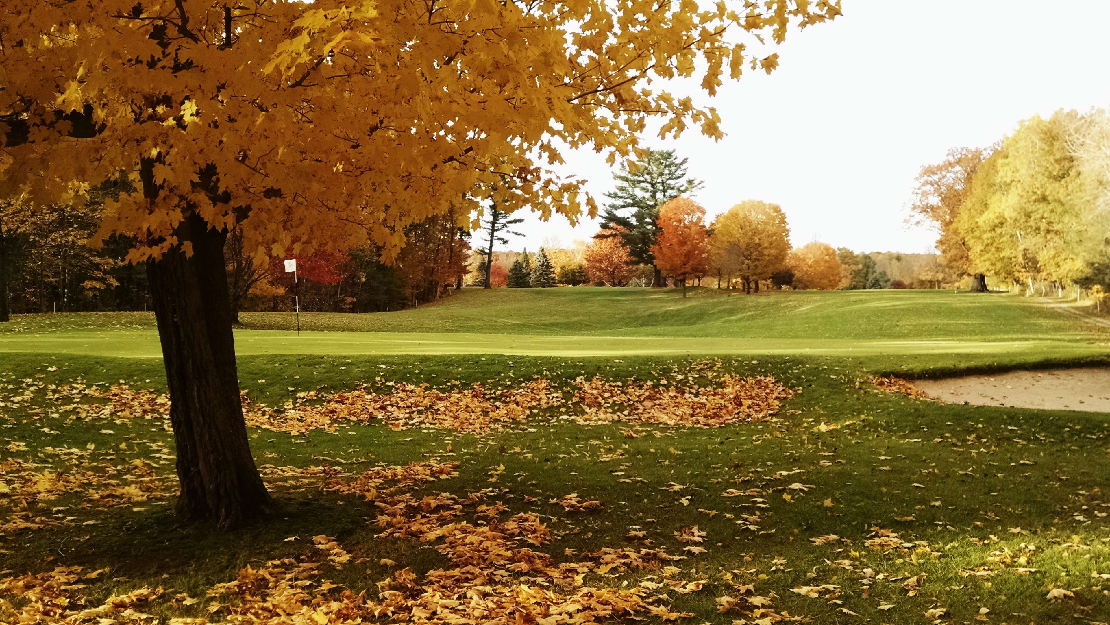 autumn scene golf course HD wallpaper, Background