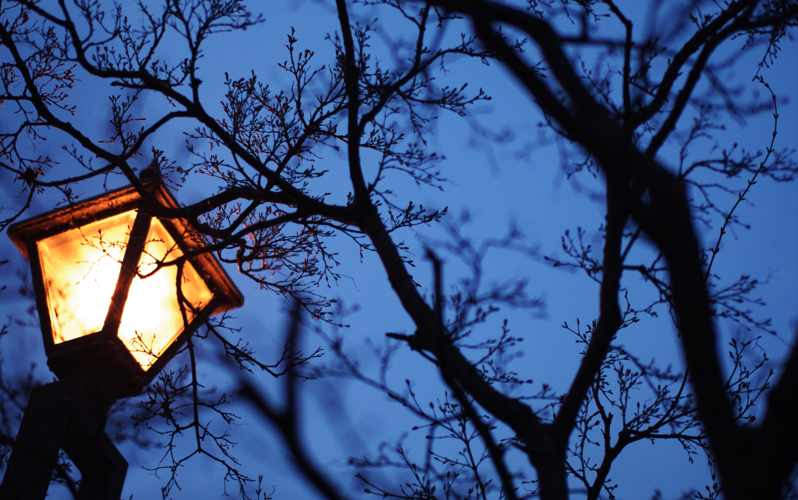 night-lamp-wallpapers-wallpaper-cave