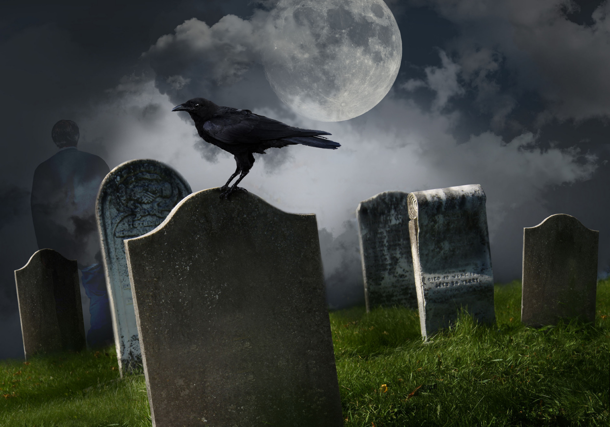 Черный ворон на кладбище