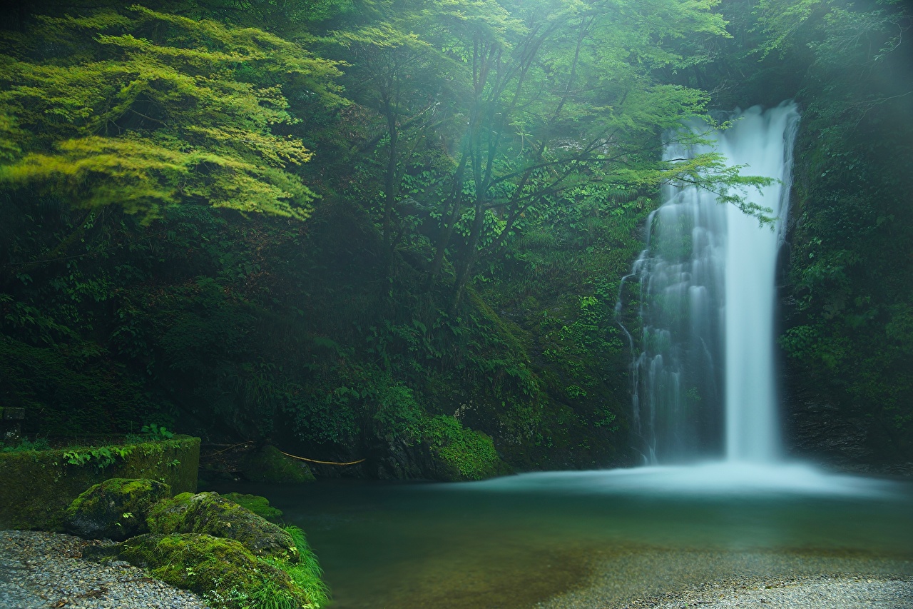 image Japan Shiraito Falls Fujinomiya Nature Waterfalls forest