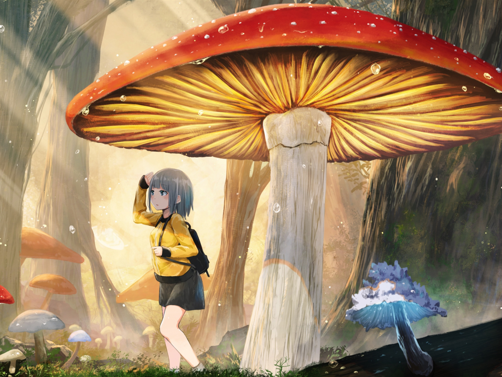 Desktop Wallpaper Mushroom, Original, Anime Girl, Walk, HD Image, Picture, Background, 28d17d