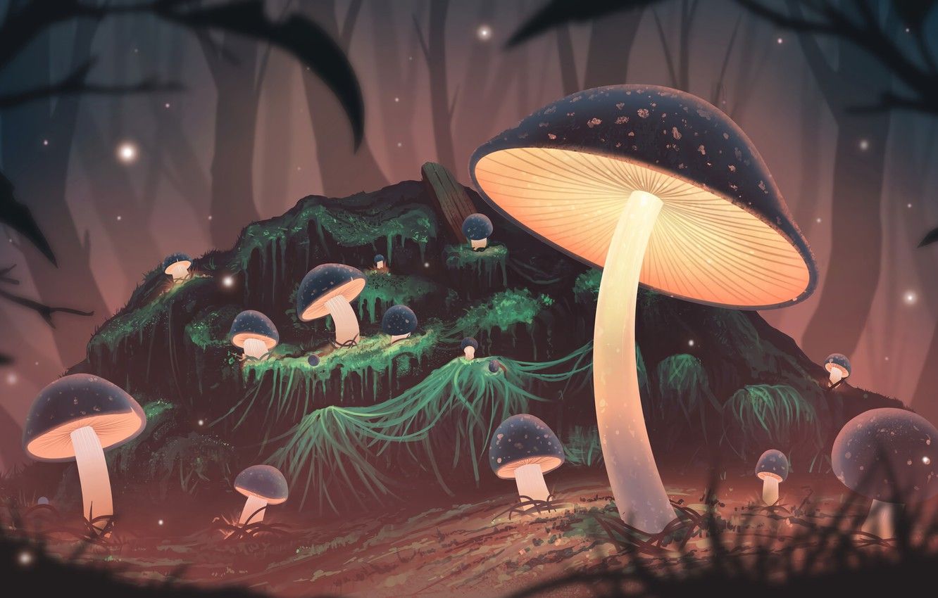 Cute Mushrooms Wallpaper Images - Free Download on Freepik