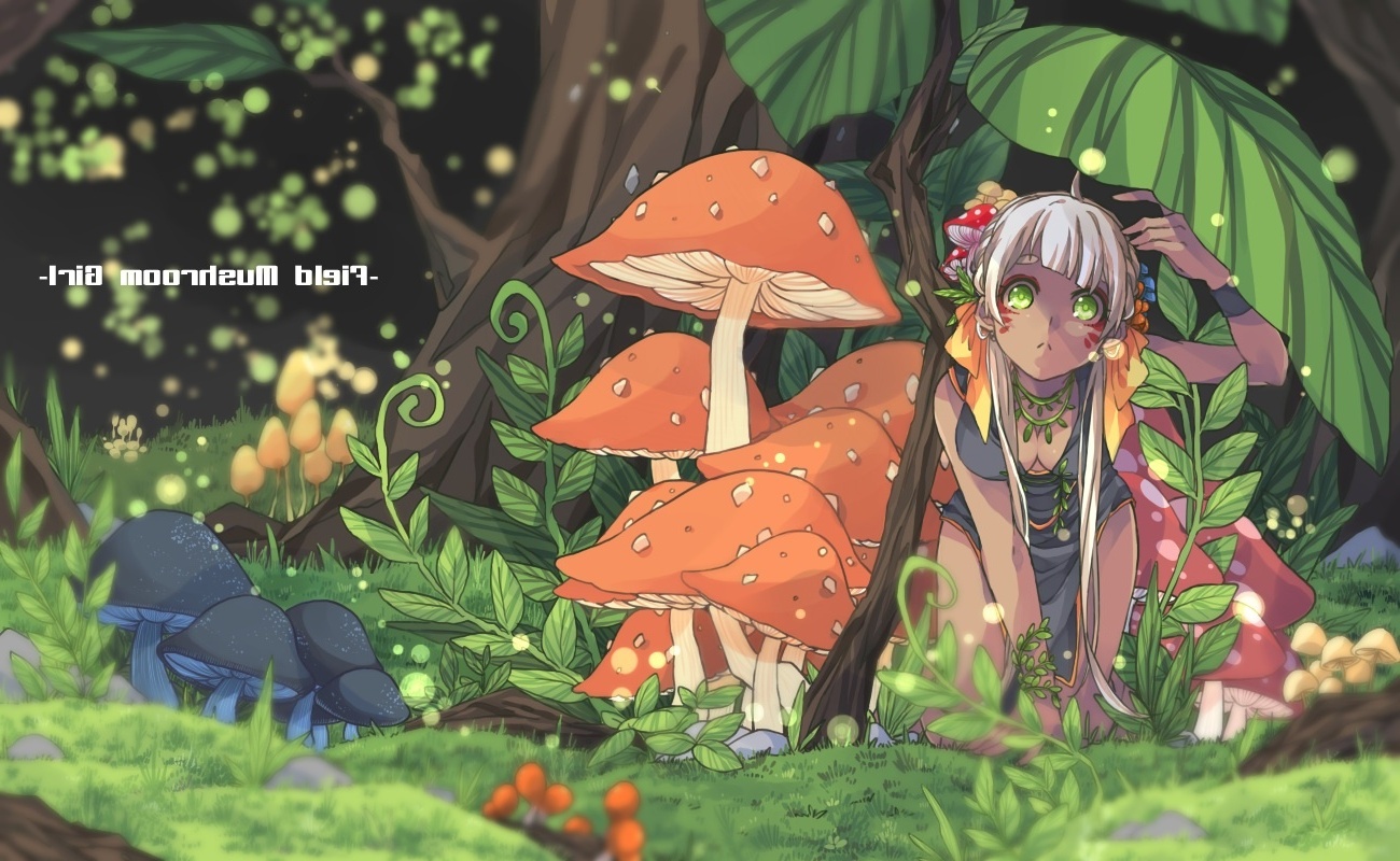 Wallpaper Anime Girl, Anime Landscape, Forest, Mushroom:1300x800