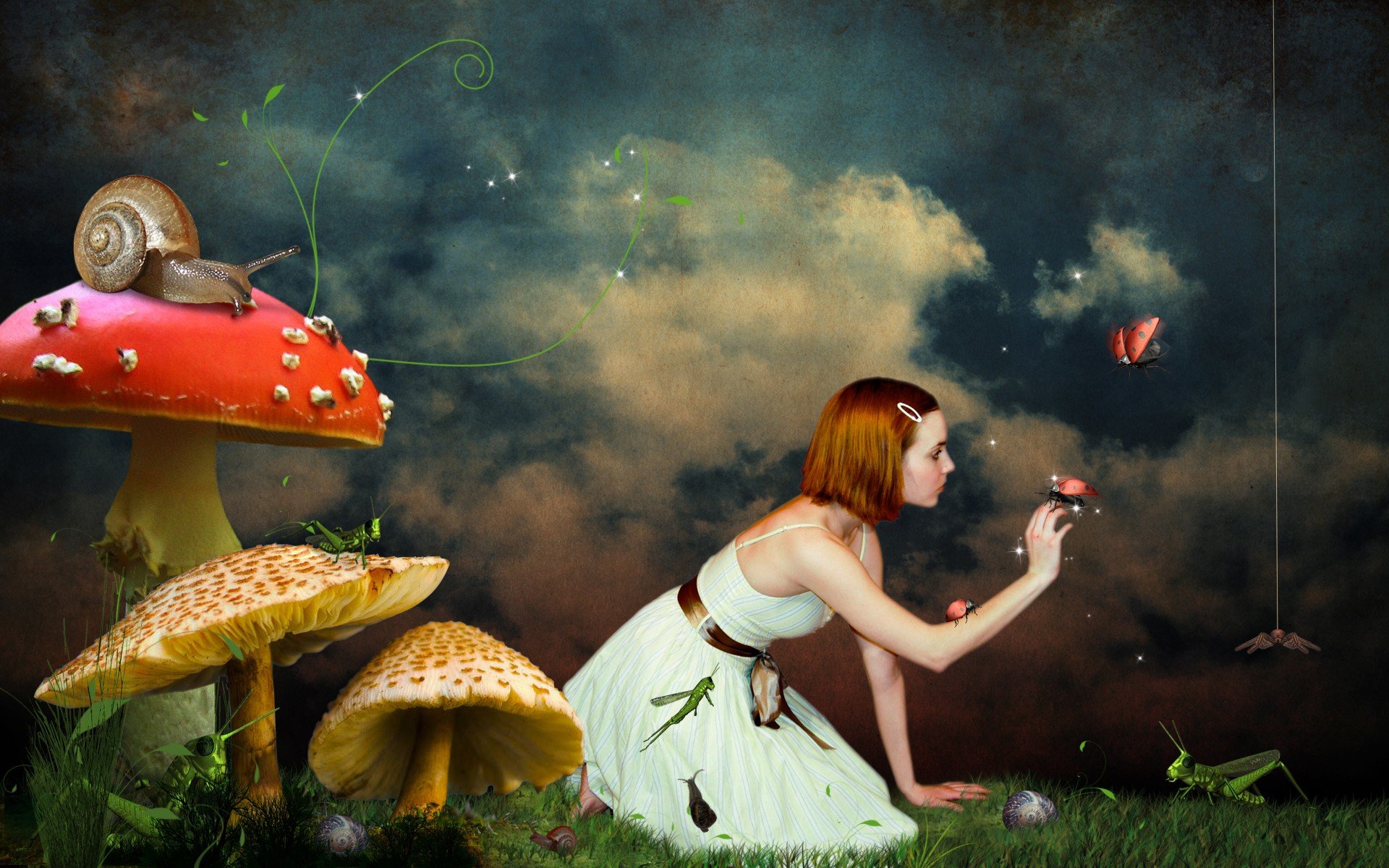 women, Redheads, Mushrooms, Fantasy, Art, Snails, Spiders, Ladybirds Wallpaper HD / Desktop and Mobile Background
