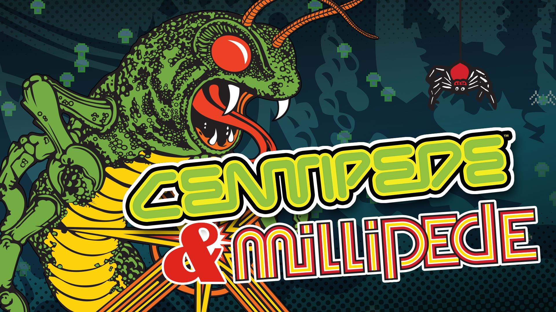 Buy Centipede & Millipede