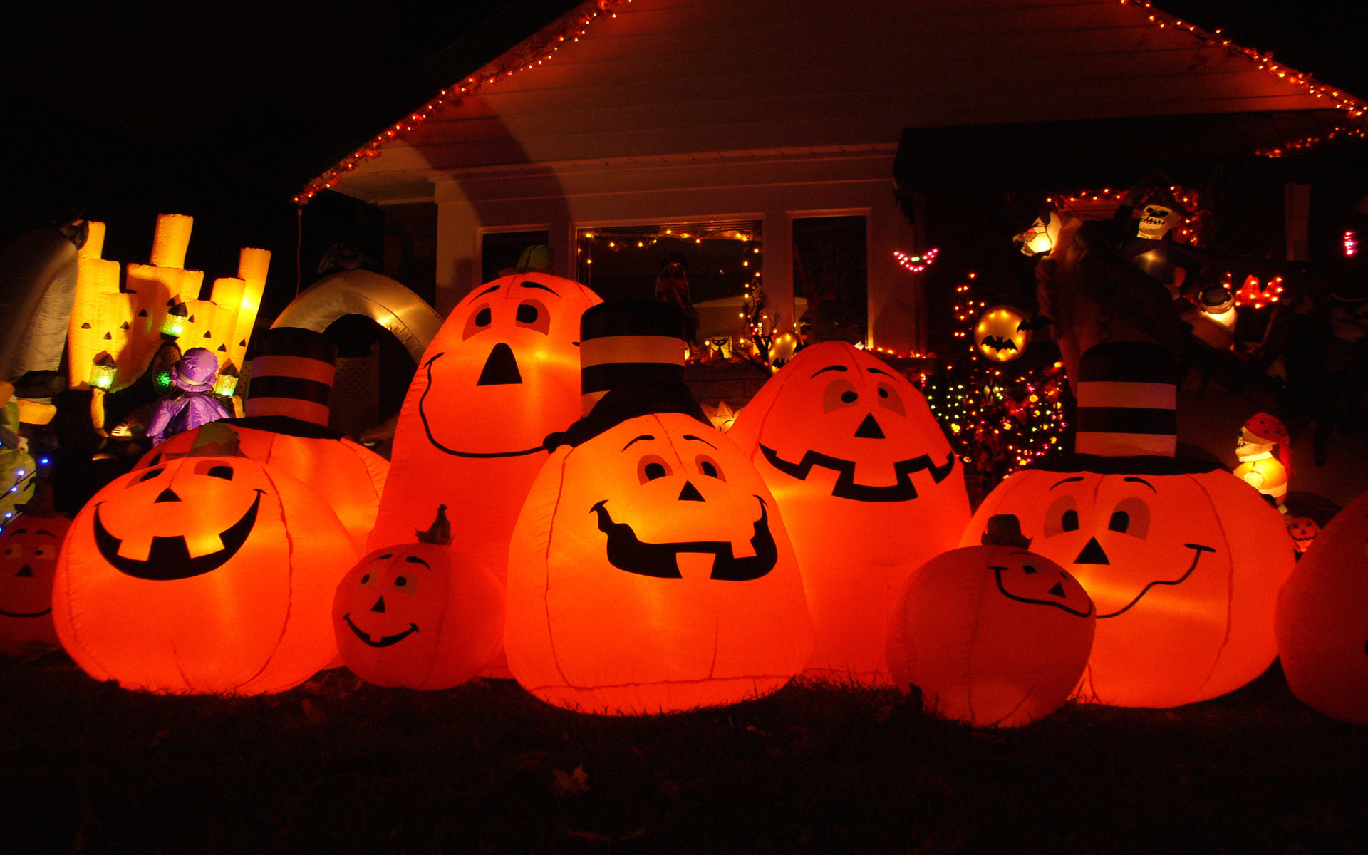 animated halloween wallpaper, jack o' lantern, trick or treat, orange, lighting, calabaza