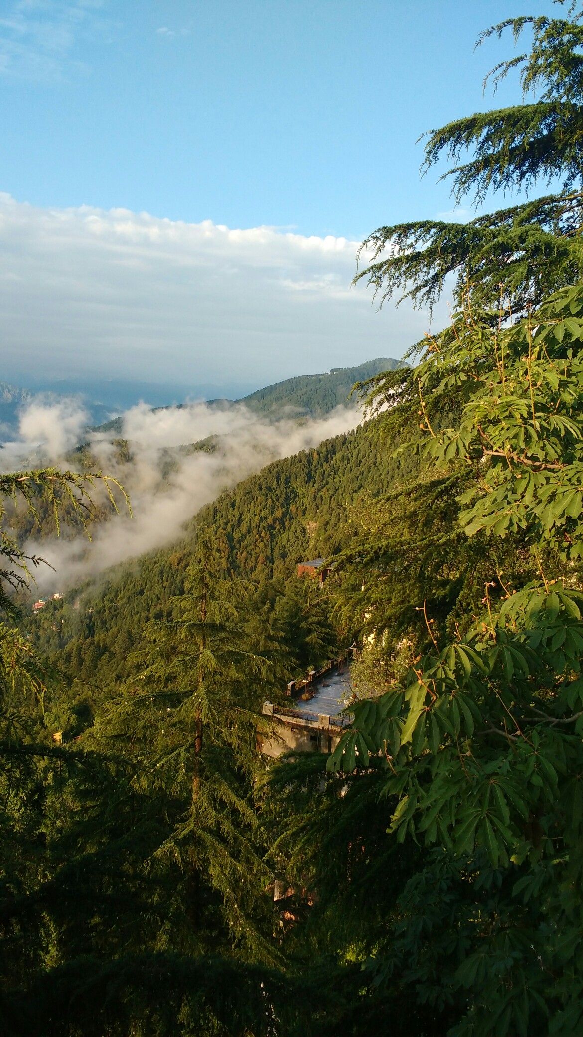 Dalhousie. Himachal Pradesh. Beauty at its best. Nature wallpaper, Natural landmarks, Nature
