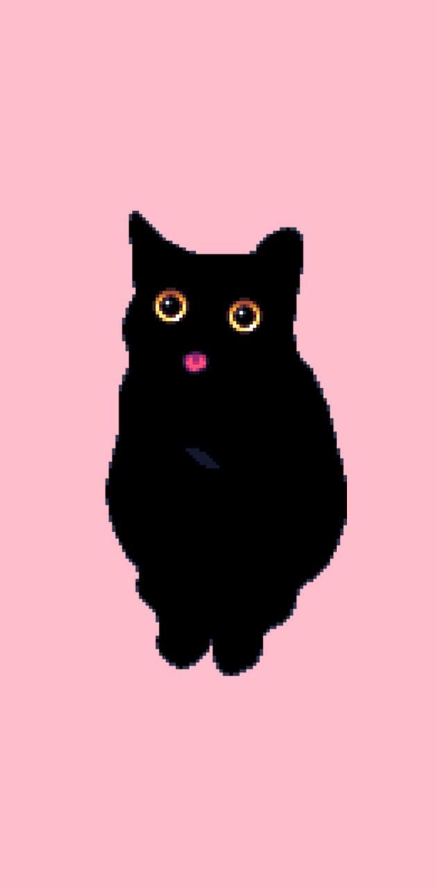 Black cat wallpaper