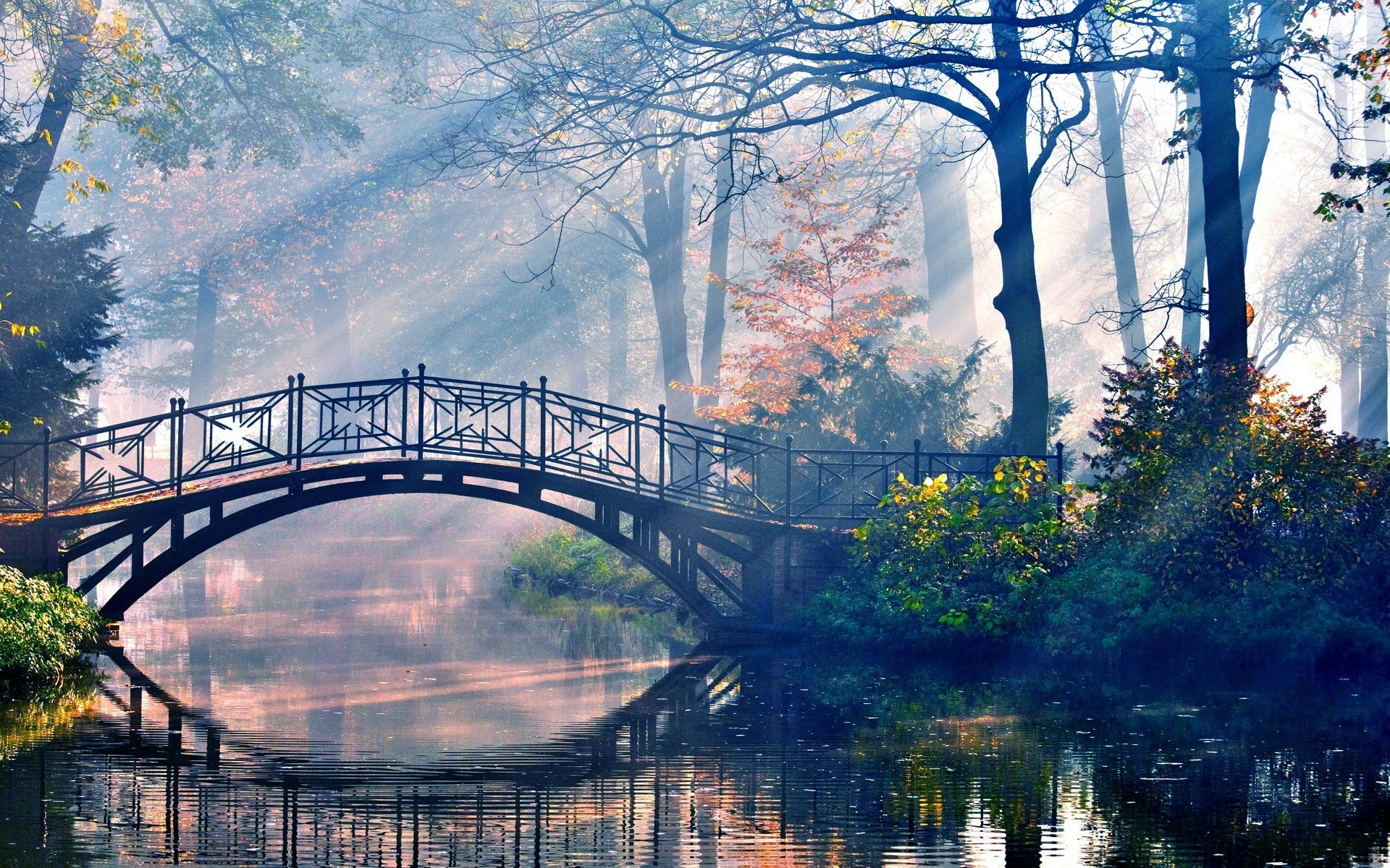 Wallpaper, 1920x1200 px, bridge, forest, reflection, river, trees 1920x1200
