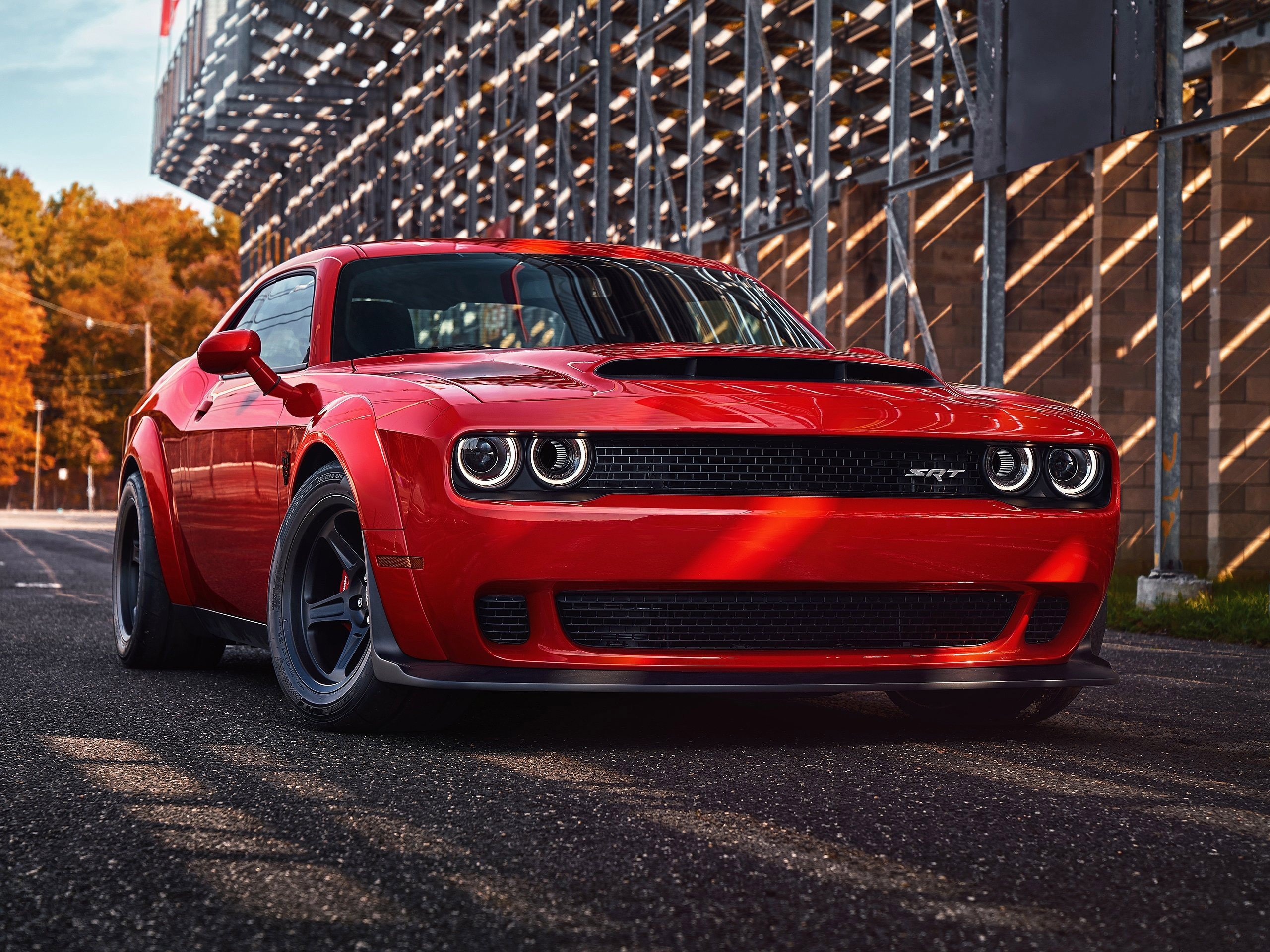 HD Wallpaper for theme: Dodge Challenger HD wallpaper, background