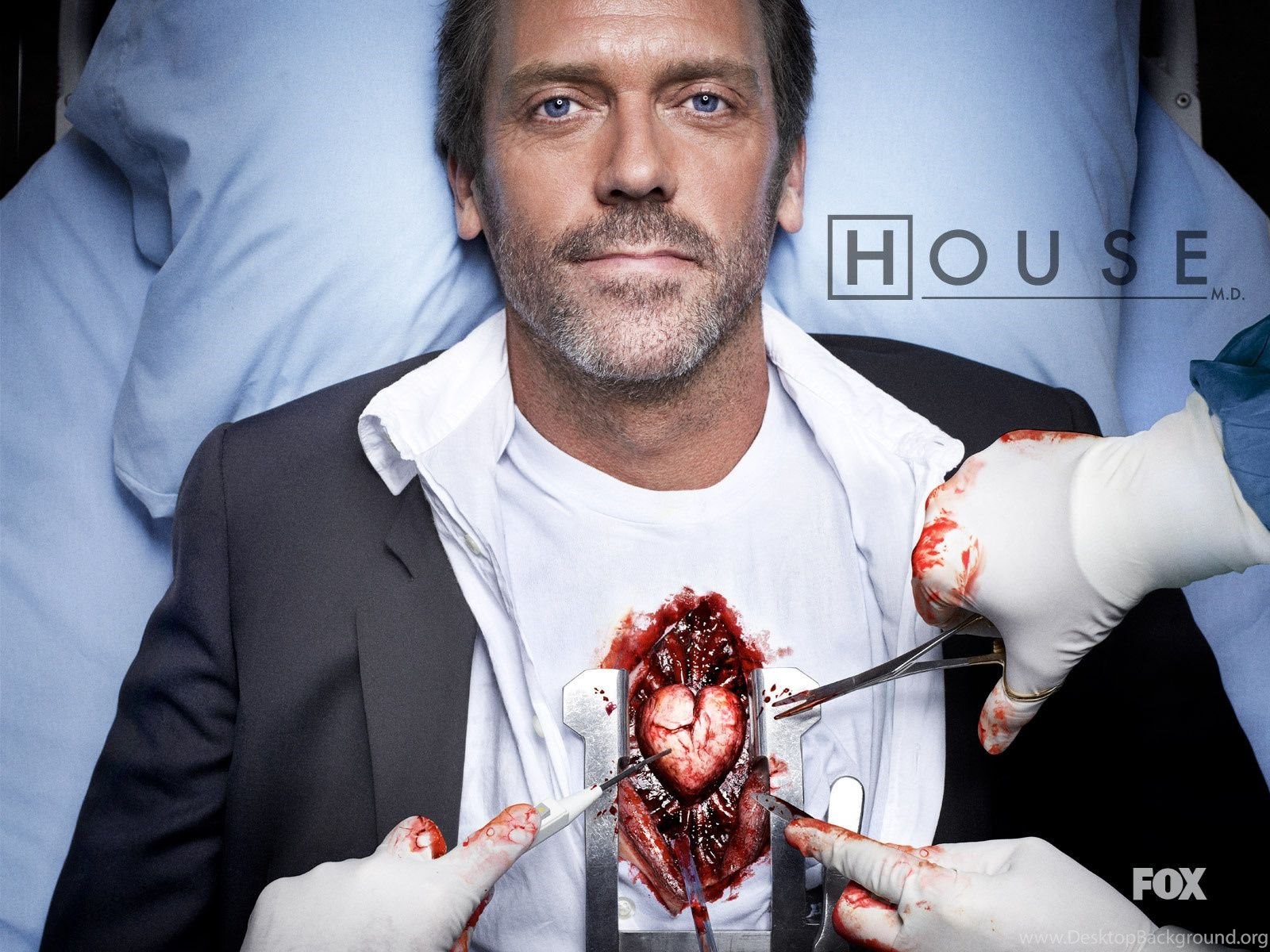 Wallpaper Gregory House, House M.d., Hugh Laurie, Doctor House. Desktop Background