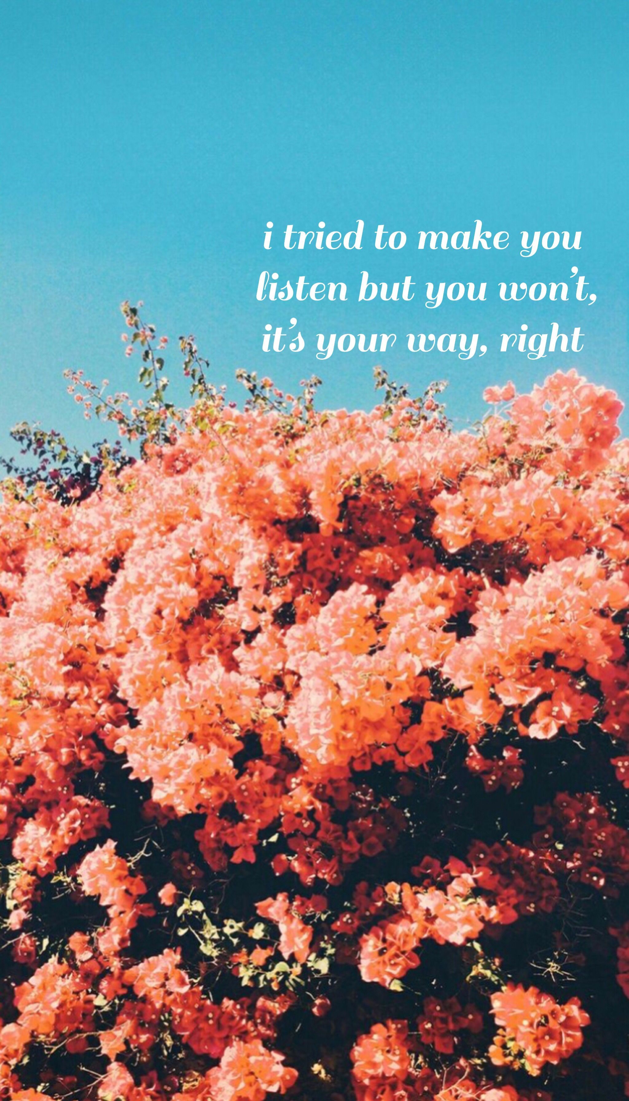 Melanie Martinez Quote Wallpaper Free Melanie Martinez Quote Background