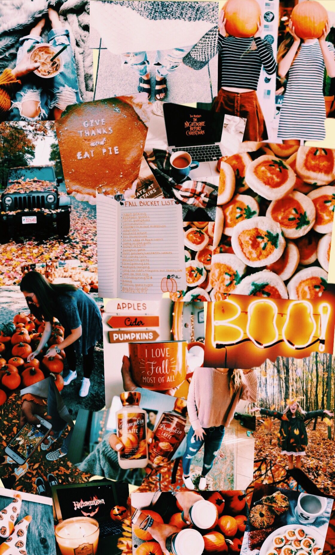 Fall Halloween Wallpaper HD Wallpaper