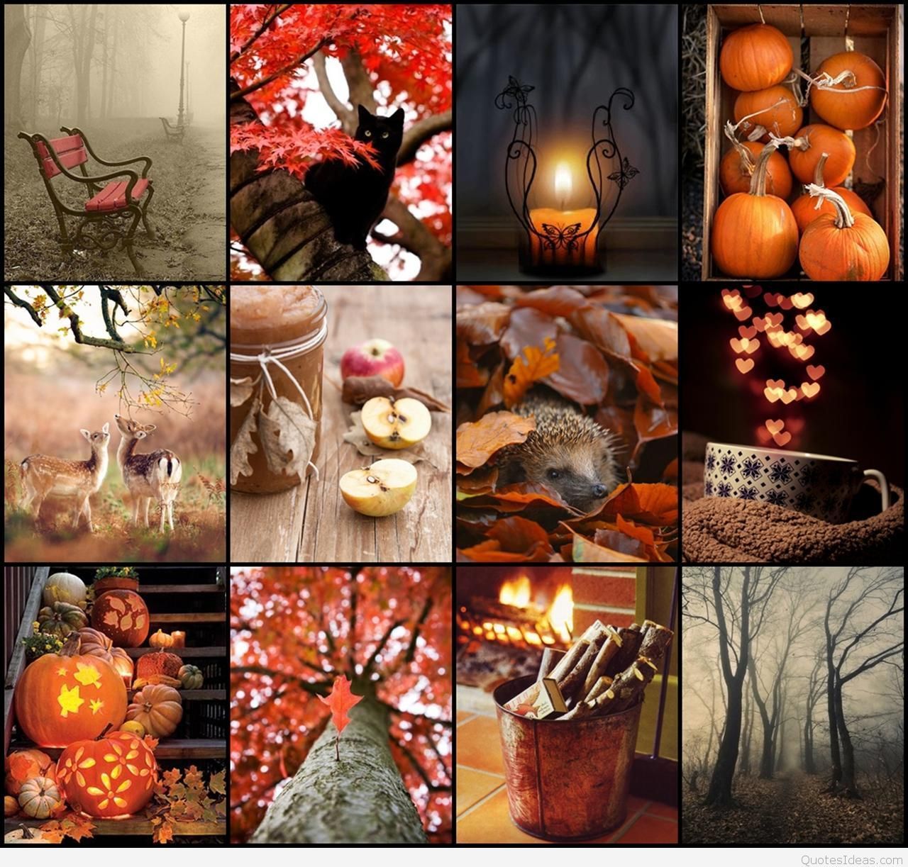 Fall Collage Desktop Wallpaper