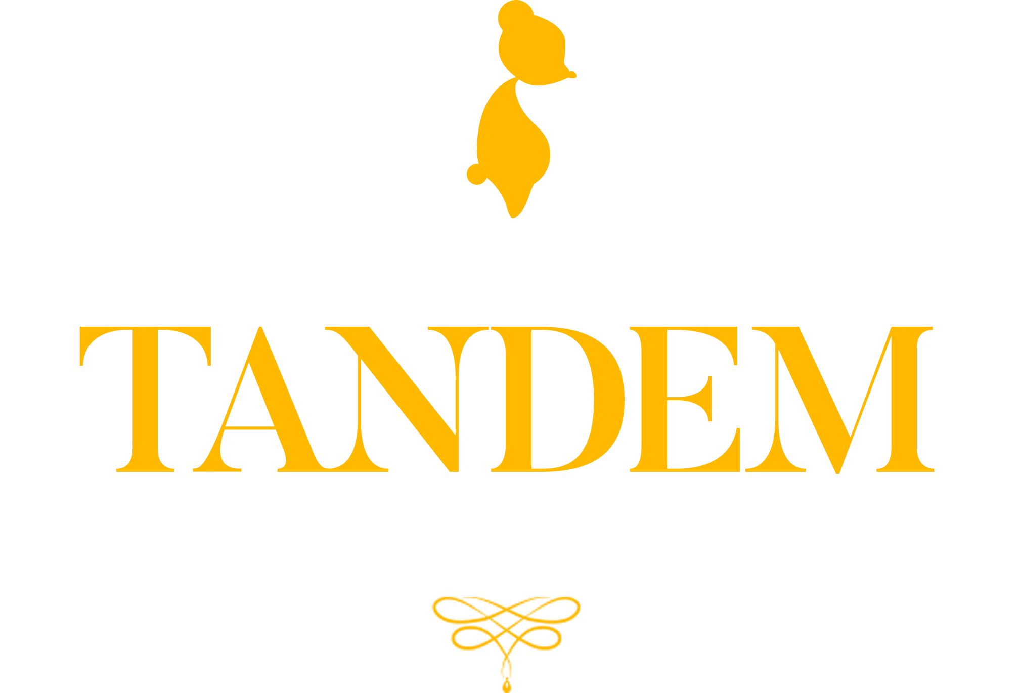 Tandem, A Tale Of Shadows Original Puzzle Plateformer