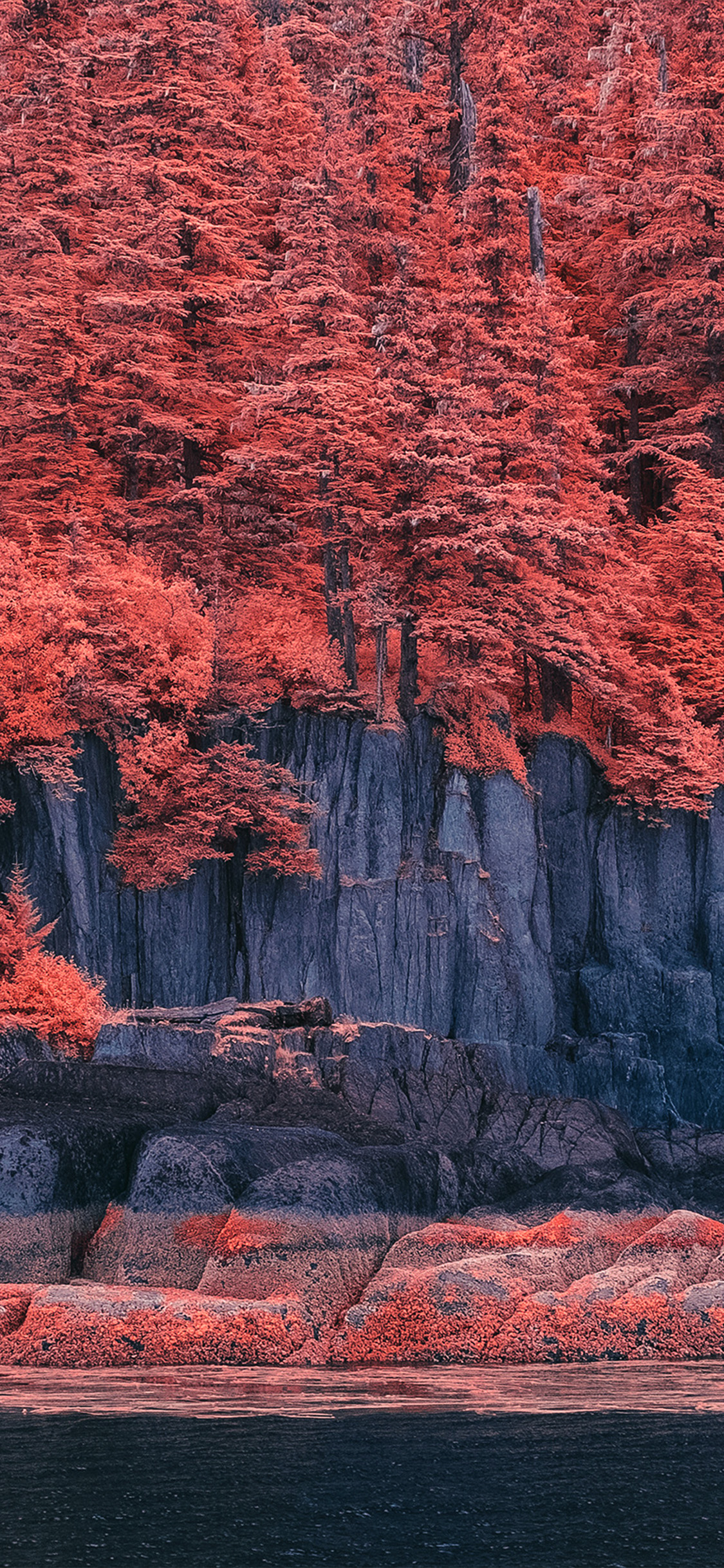 iPhone X wallpaper. mountain red tree nature art illustration