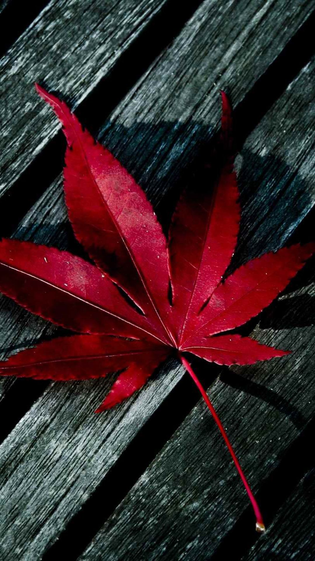 Red Nature Mobile Wallpaper