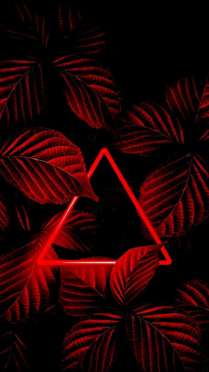 Neon Red Foliage (1440x2565). Nature iphone wallpaper, Neon light wallpaper, Dark red wallpaper