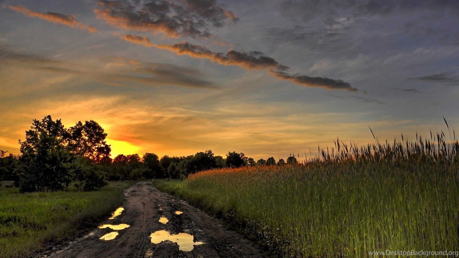 Mud Desktop Wallpaper HD Wallpaper Background Of Your Choice Desktop Background