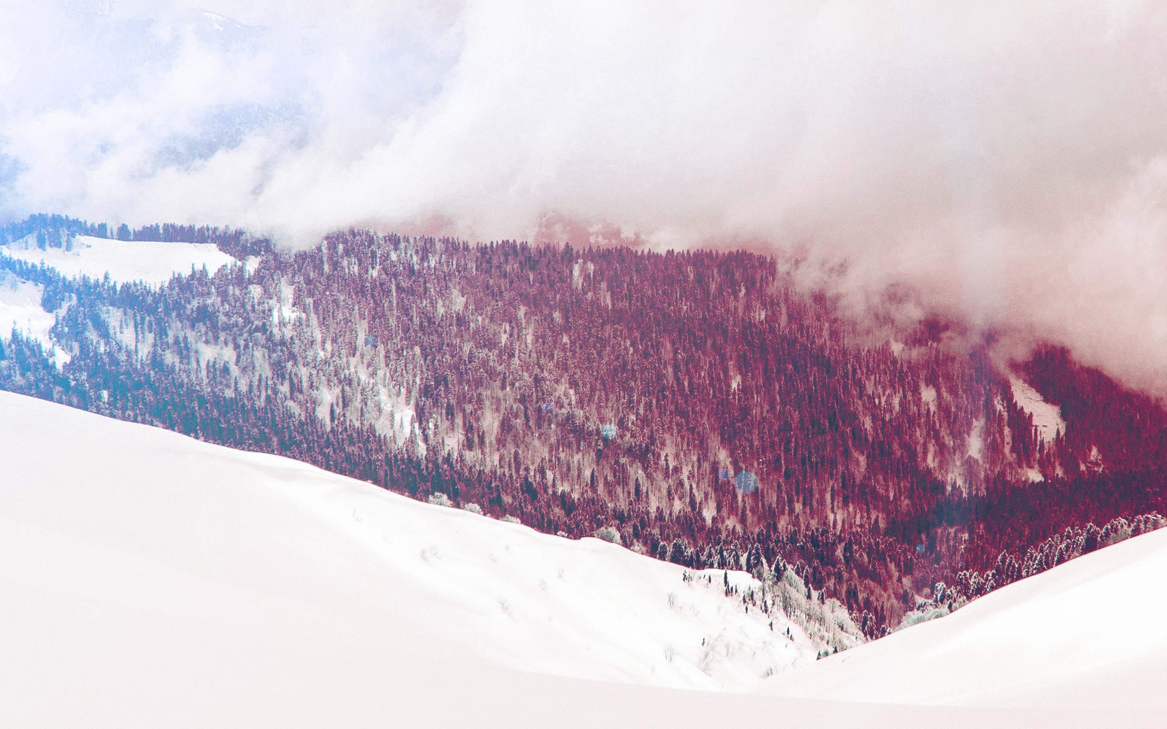 Winter Mountain Snow Fog Wood White Nature Red Wallpaper