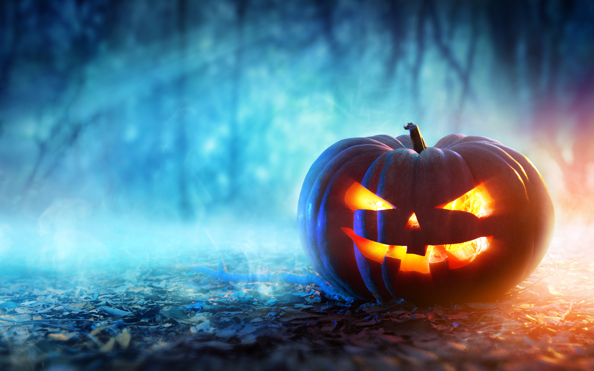 Halloween 8k 1080P Resolution HD 4k Wallpaper, Image, Background, Photo and Picture