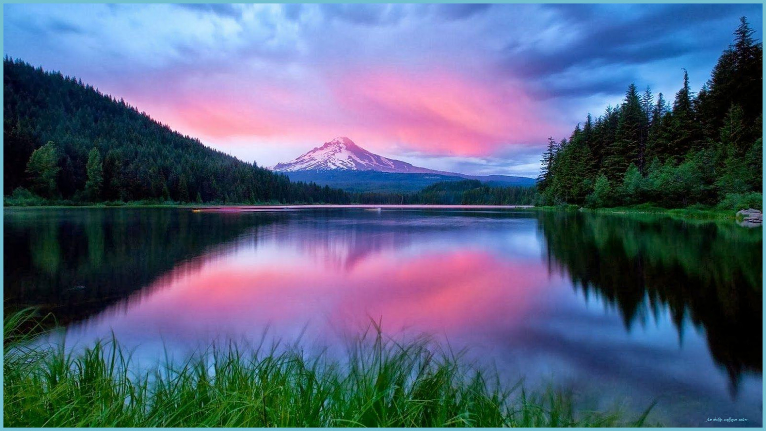 Nature HD Wallpaper Desktop Wallpaper Nature