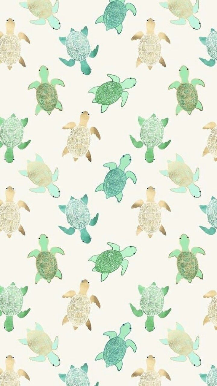 Wallpaper #Wallpaper #tumblr #turtles #turtle. iPhone background wallpaper, Turtle wallpaper, Wallpaper iphone cute