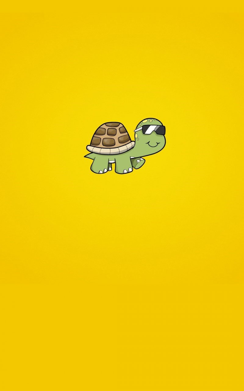 Free download Cute Turtle Wallpaper For iPhone 6574 1080 x 1920 [1080x1920] for your Desktop, Mobile & Tablet. Explore Cute Turtle Wallpaper. Sea Turtle Wallpaper for Computer, Turtle Wallpaper