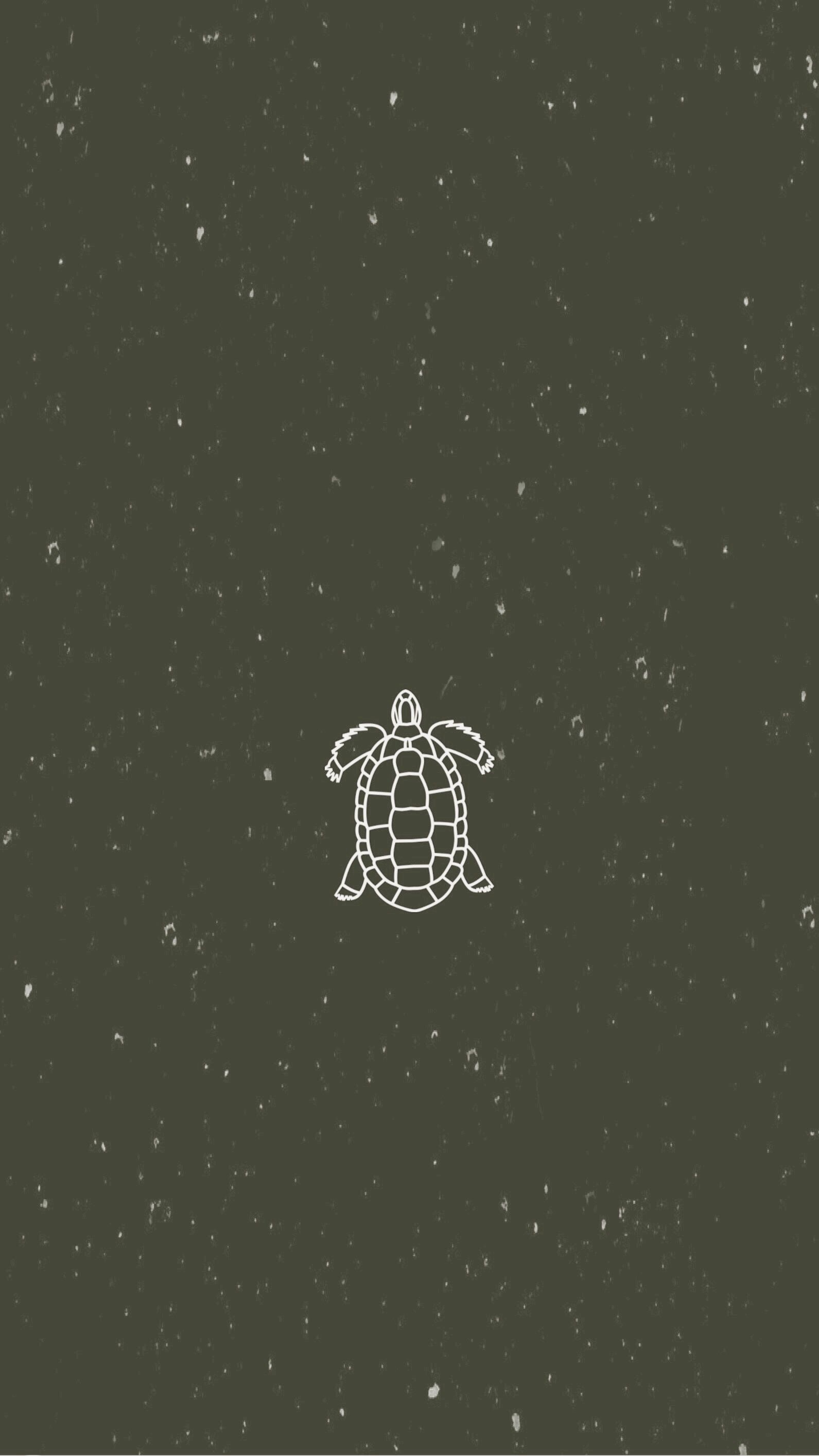 Turtle Cute Aesthetic Wallpapers - Wallpaper Cave