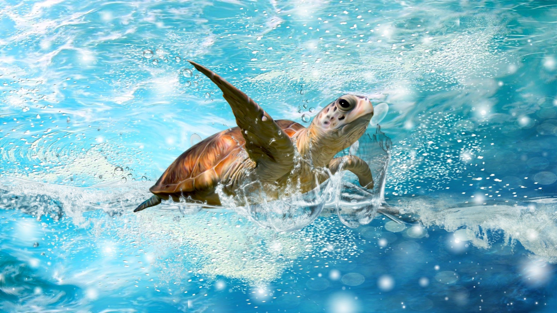 Sea Turtles Desktop