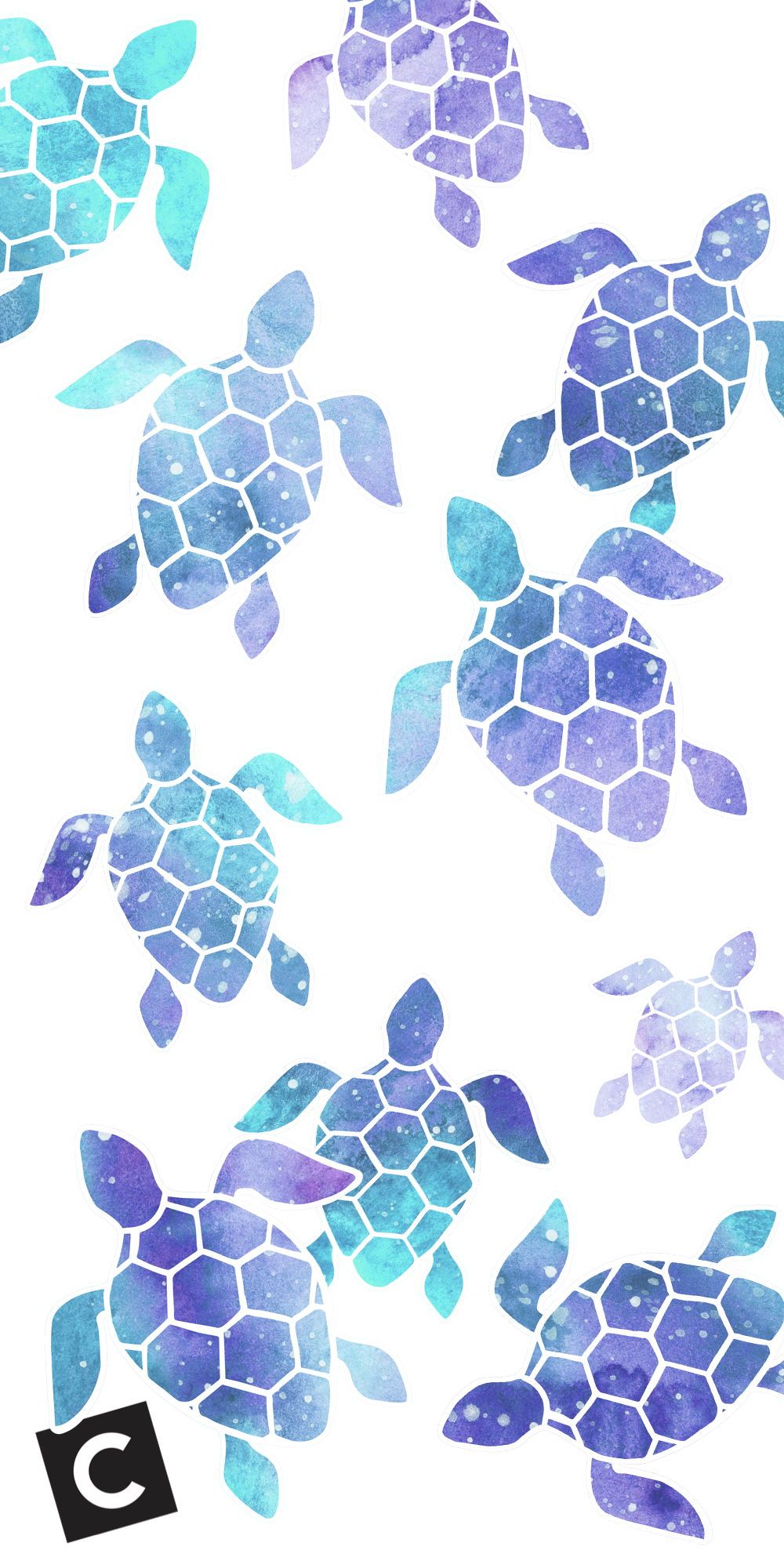 Aesthetic Turtle Wallpaper