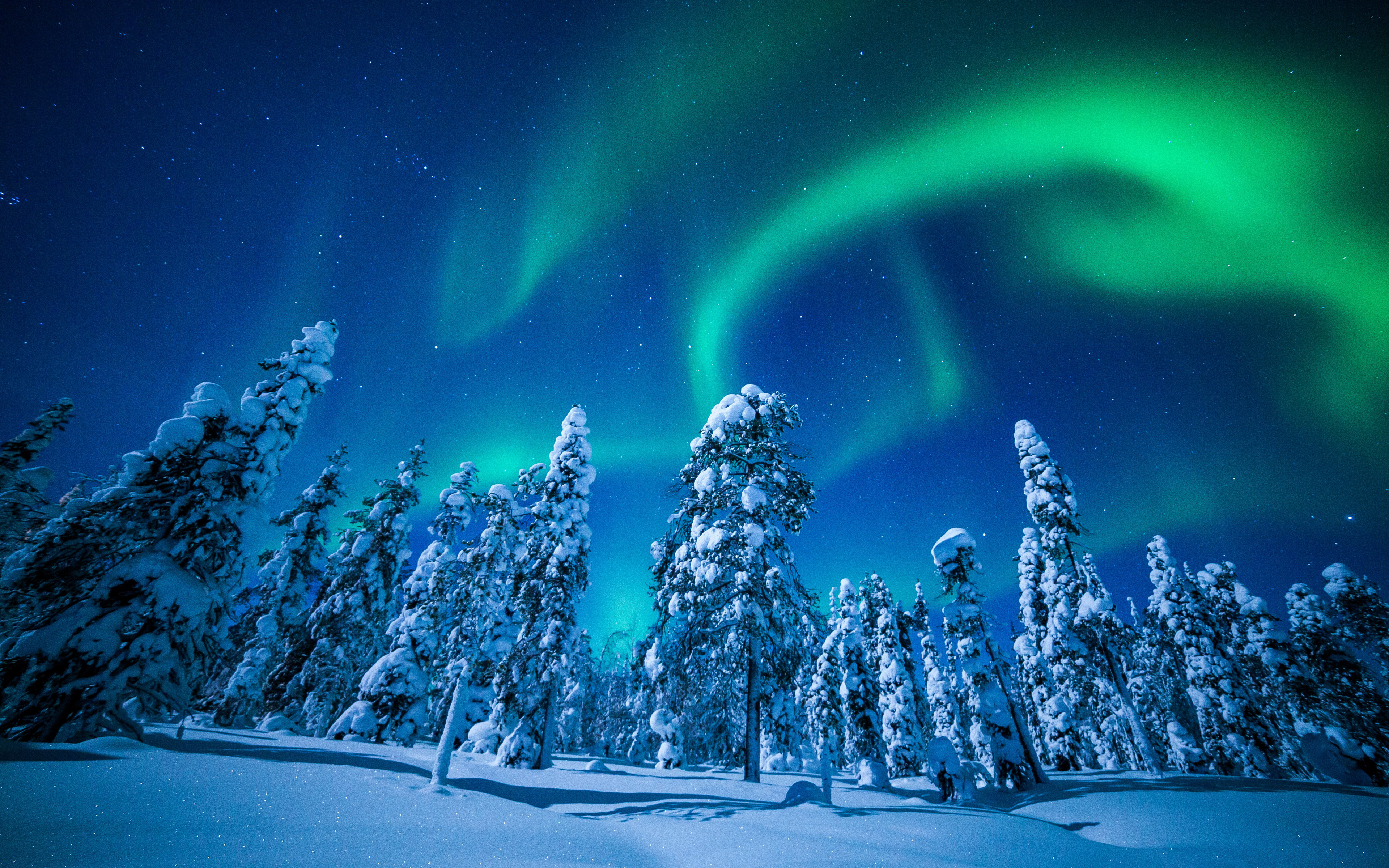 Download wallpaper Lapland, 4k, night, winter, forest, northern lights, Finland, Europe for desktop with resolution 3840x2400. High Quality HD picture wallpaper