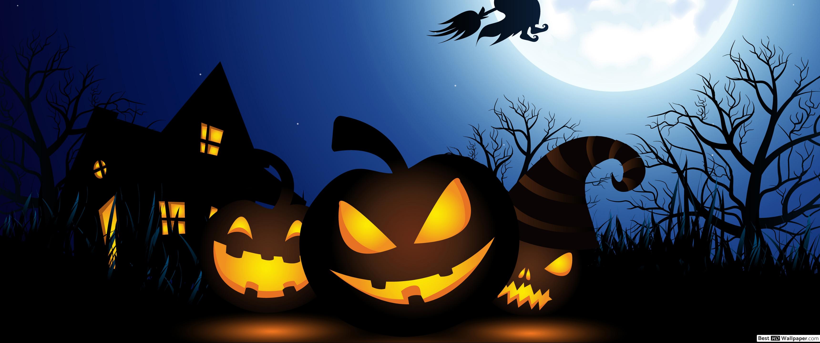Spooky Halloween Witch HD wallpaper download