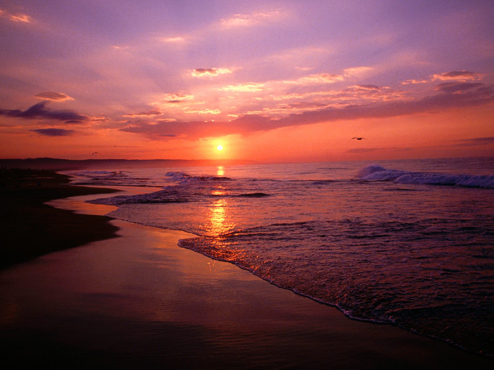 Newport Beach Sunrise California Wallpaper HD iPhone